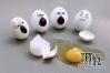 حادثة موت البيضة