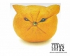 قط البرتقالة